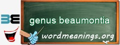 WordMeaning blackboard for genus beaumontia